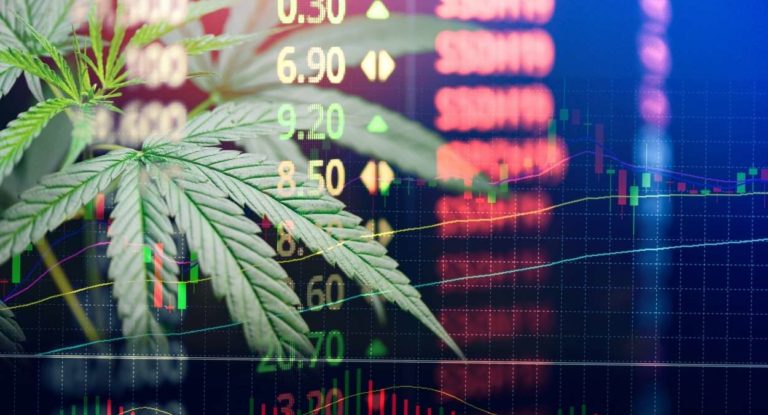 Why You Should Buy Canopy Growth Stock Now [Prices, News & Forecast]