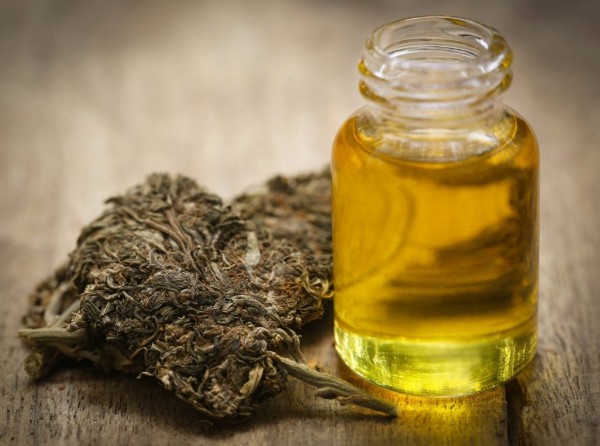 CANNABIS OIL ULTIMATE GUIDE: HOW TO MAKE, USE AND BUY CANNABIS OIL