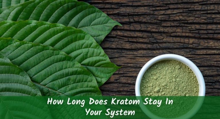 Kratom facts: how long does Kratom stay in your system?